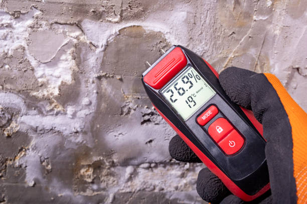 Best Commercial Mold Remediation in Milton Freewater, OR