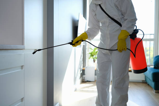 Best Residential Mold Remediation in Milton Freewater, OR